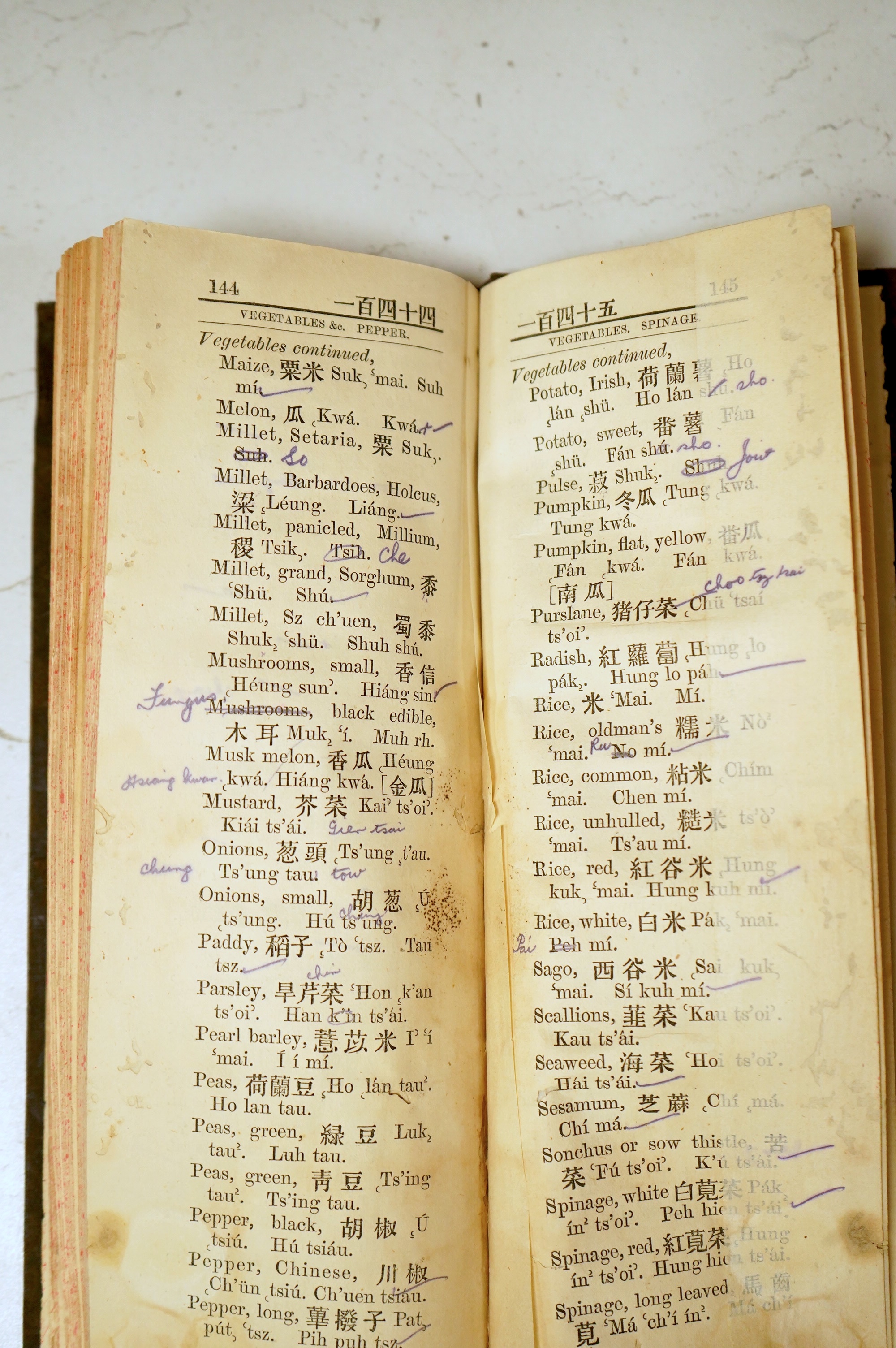 The Tourists' Guide and Merchants' Manual. Being an English Chinese Vocabulary of Articles of Commerce and of Domestic Use ... old binder's gilt ruled cloth, tall slim 8vo. Hong Kong: The 